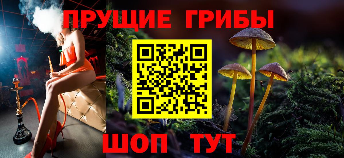 Тамбов  Псилоцибиновые грибы ЛСД  Вход с VPN 