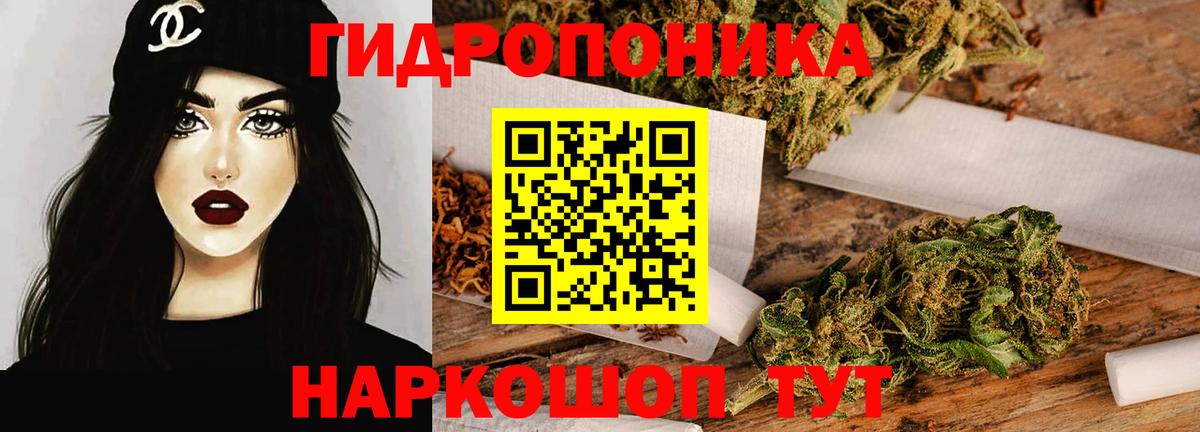 Псилоцибиновые грибы Тамбов