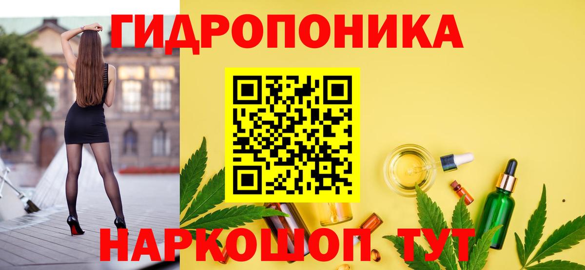Конопля сатива Тамбов